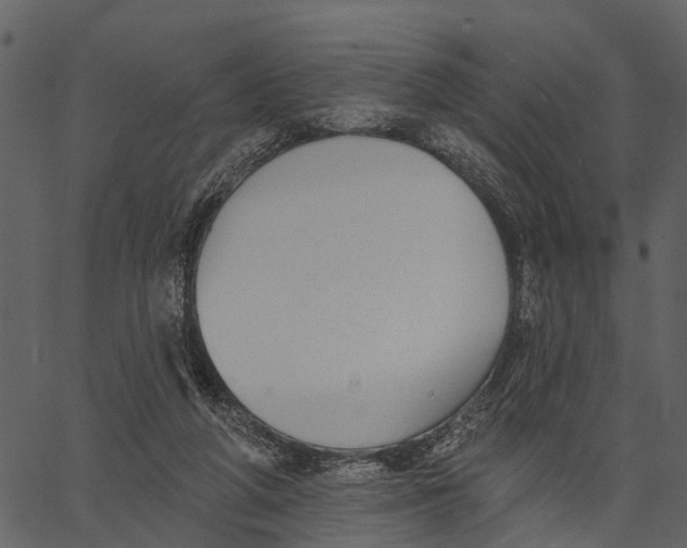 X0000062640210200601111134