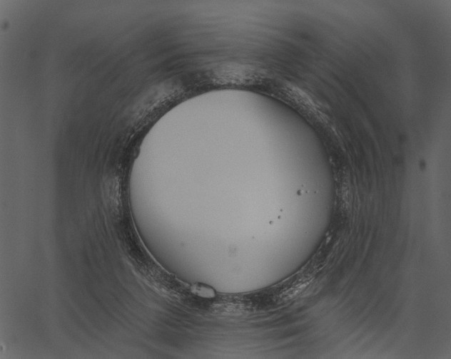 X0000062640211200601111134