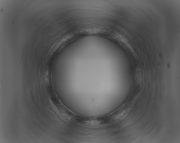 X0000062640212200601111134