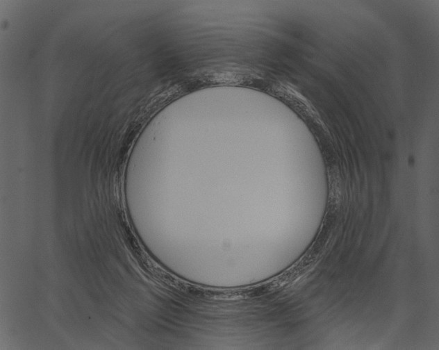 X0000062640213200601111134