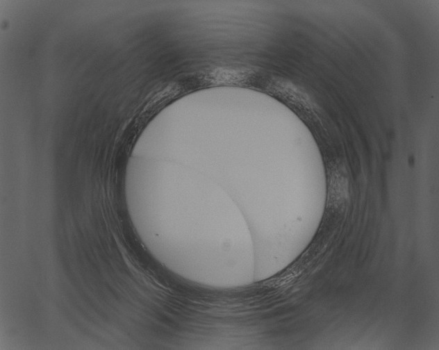 X0000062640214200601111134