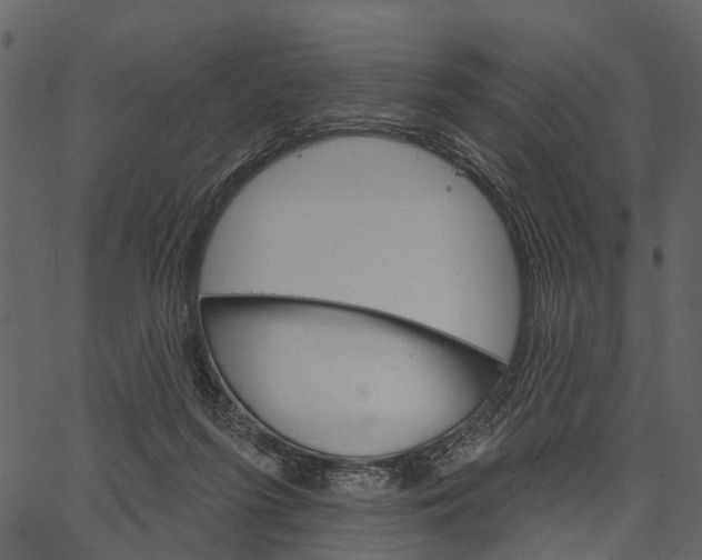 X0000062640215200601111134