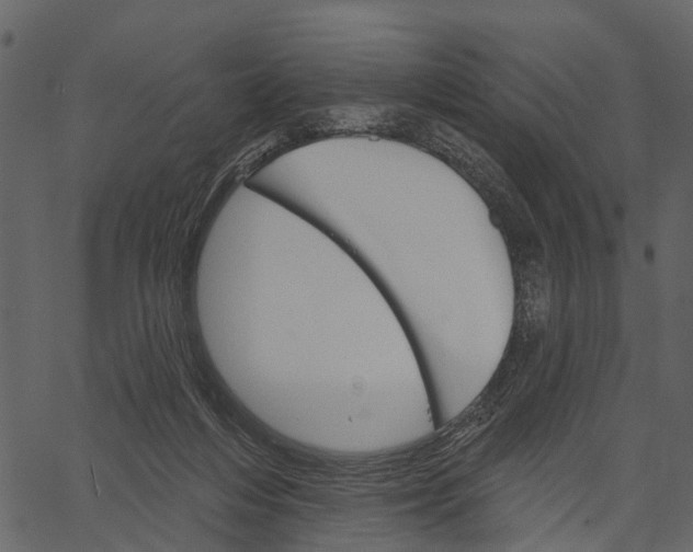 X0000062640216200601111134