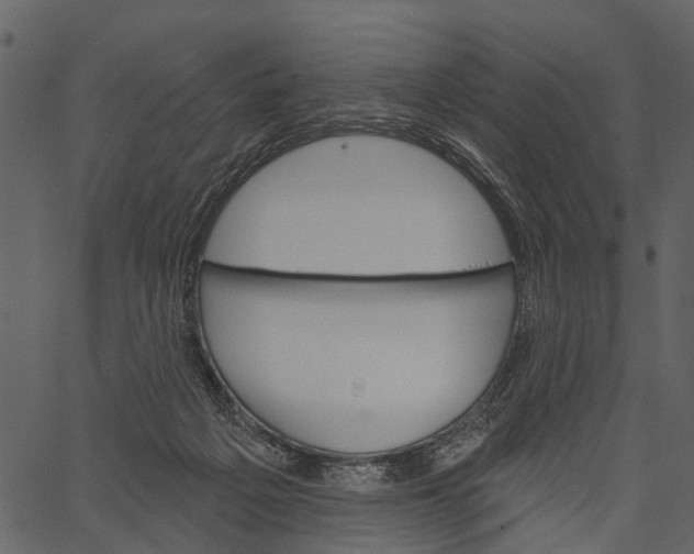 X0000062640217200601111134