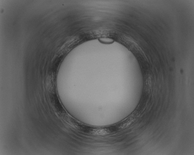 X0000062640218200601111134