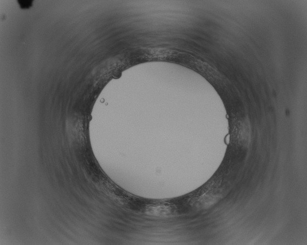 X0000062640220200601111134