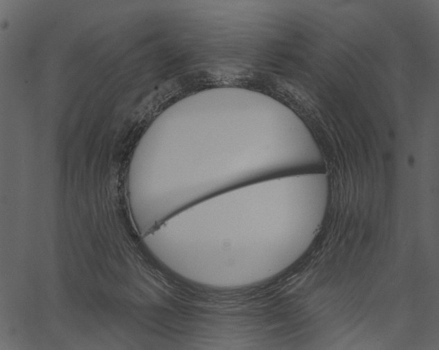 X0000062640221200601111134