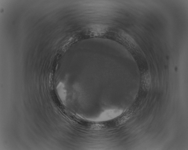 X0000062640222200601111134