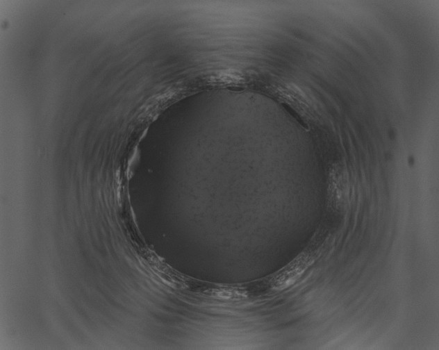 X0000062640223200601111134