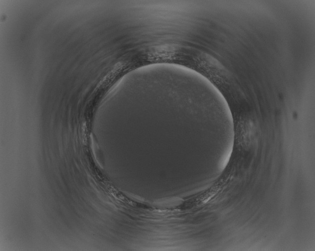 X0000062640224200601111134