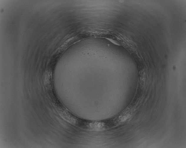 X0000062640225200601111134