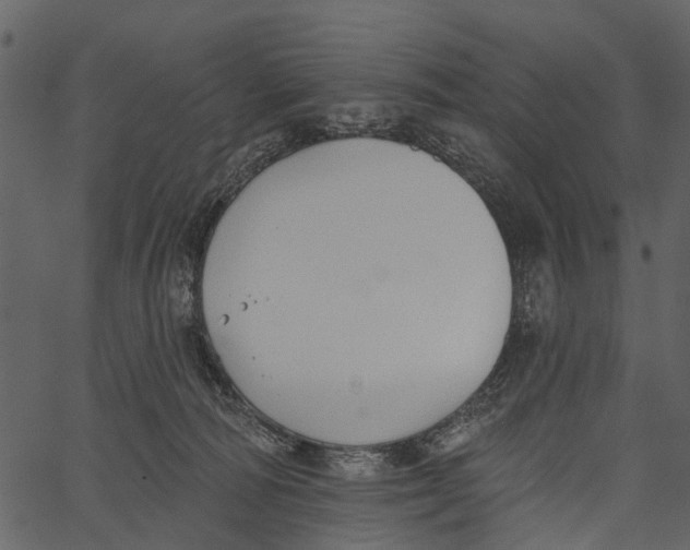 X0000062640226200601111134