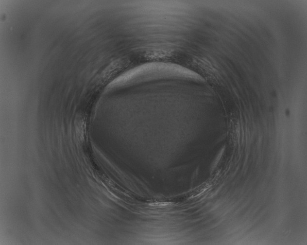 X0000062640227200601111134