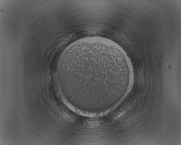 X0000062640228200601111134