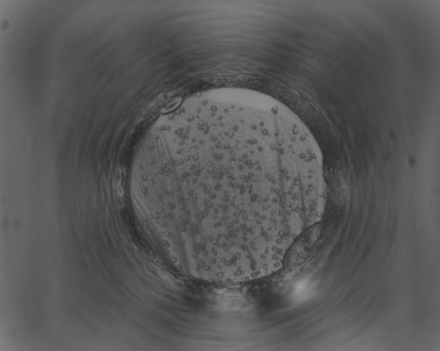 X0000062640232200601111134