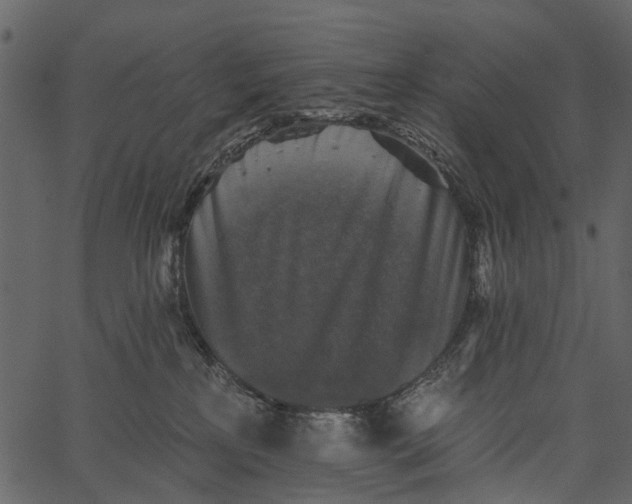 X0000062640233200601111134