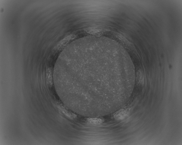 X0000062640234200601111134