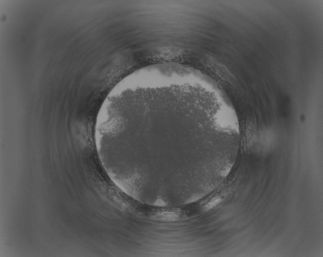 X0000062640236200601111134