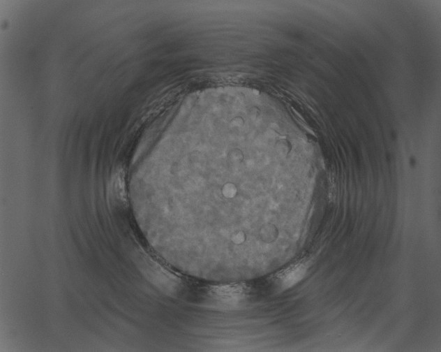 X0000062640238200601111134