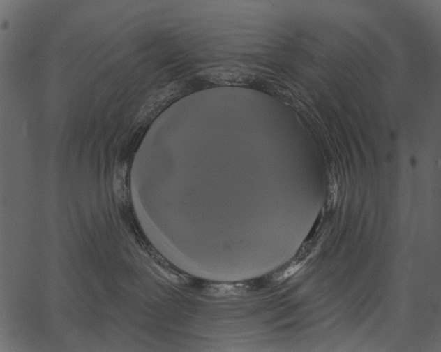 X0000062640239200601111134