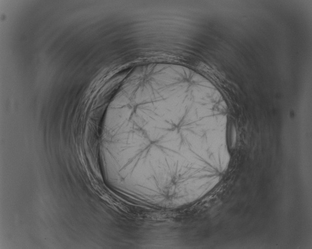 X0000062640241200601111133