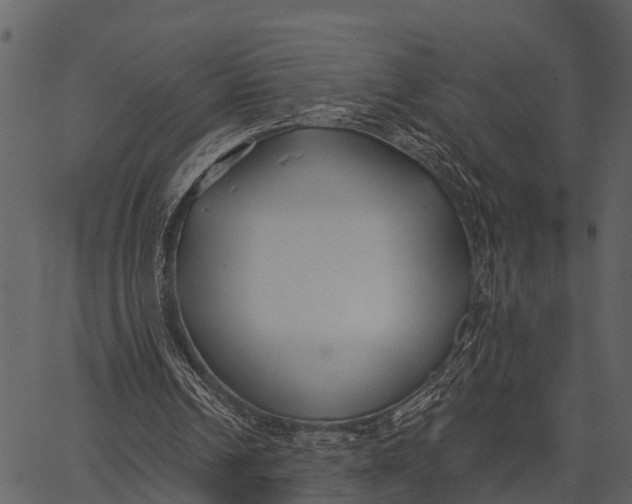 X0000062640242200601111133