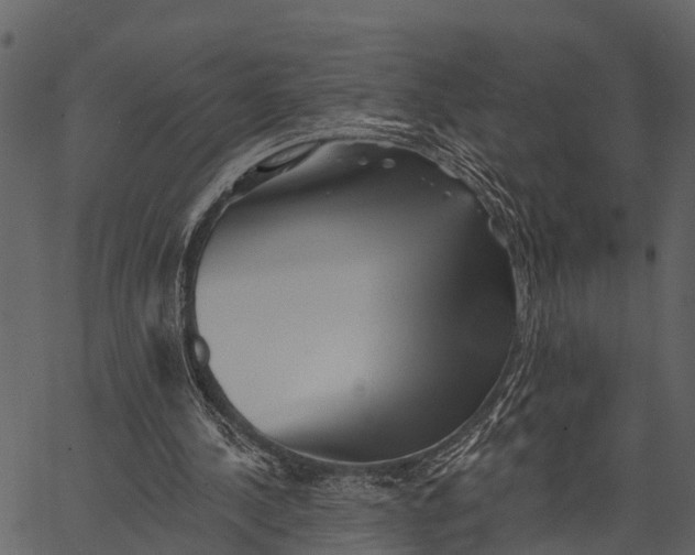 X0000062640244200601111133