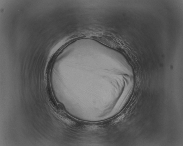 X0000062640246200601111133