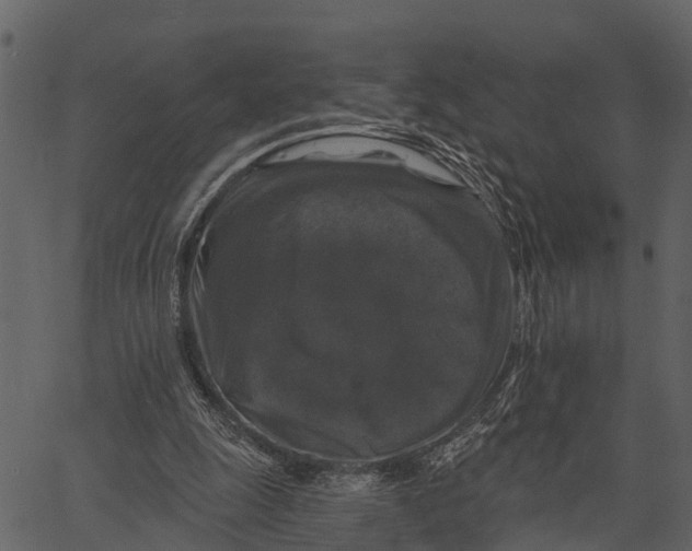 X0000062640247200601111133