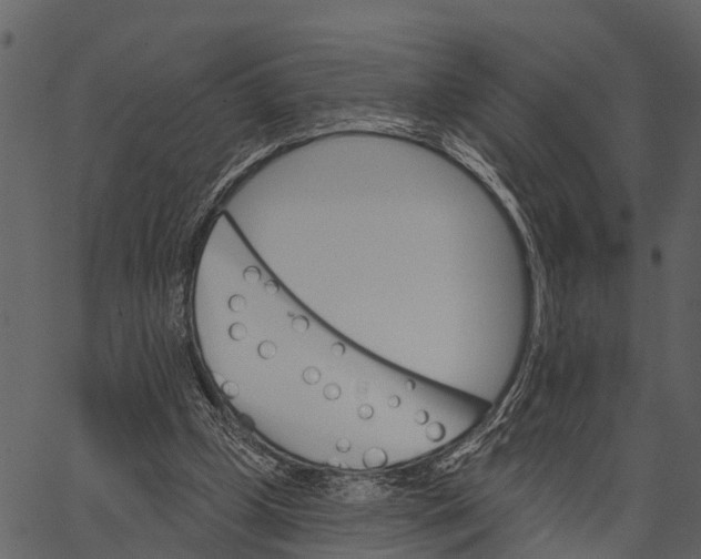 X0000062640249200601111133