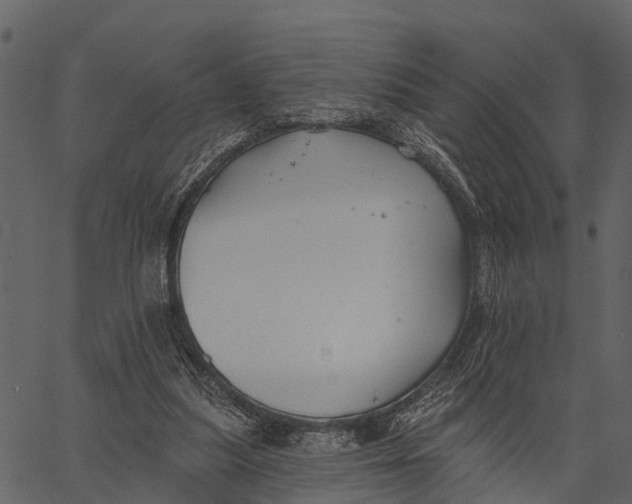 X0000062640251200601111133