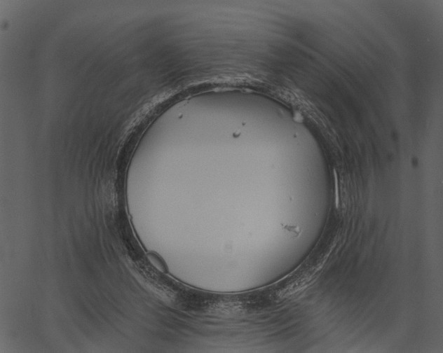 X0000062640252200601111133