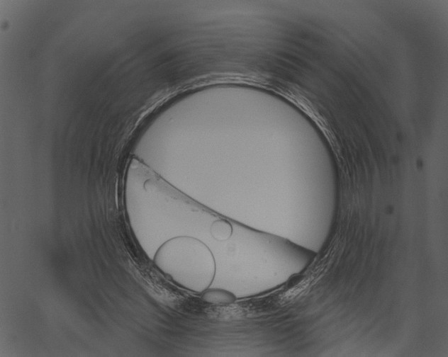 X0000062640253200601111133