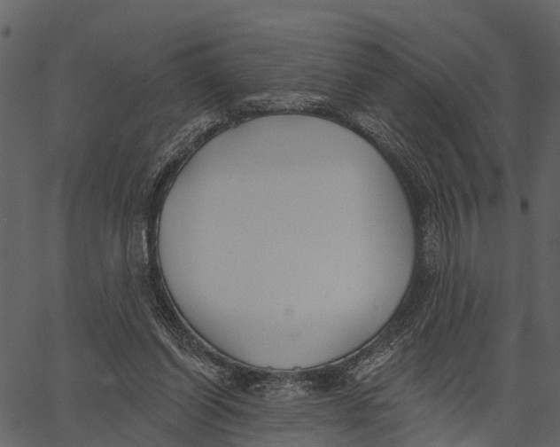 X0000062640254200601111133