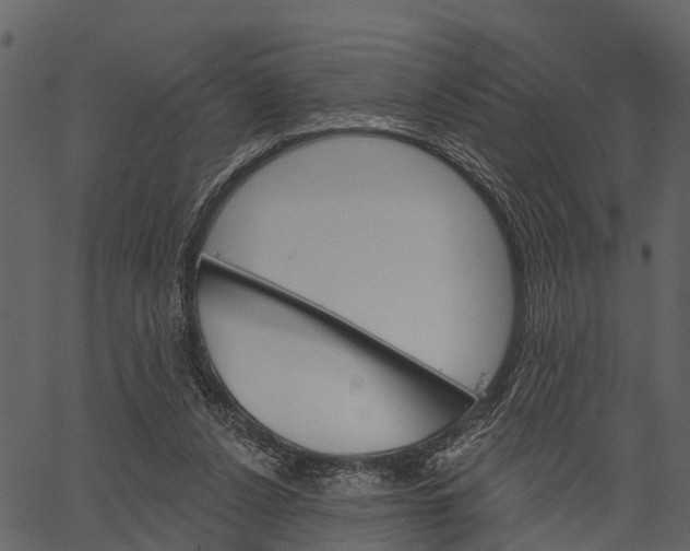 X0000062640256200601111133