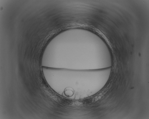 X0000062640257200601111133