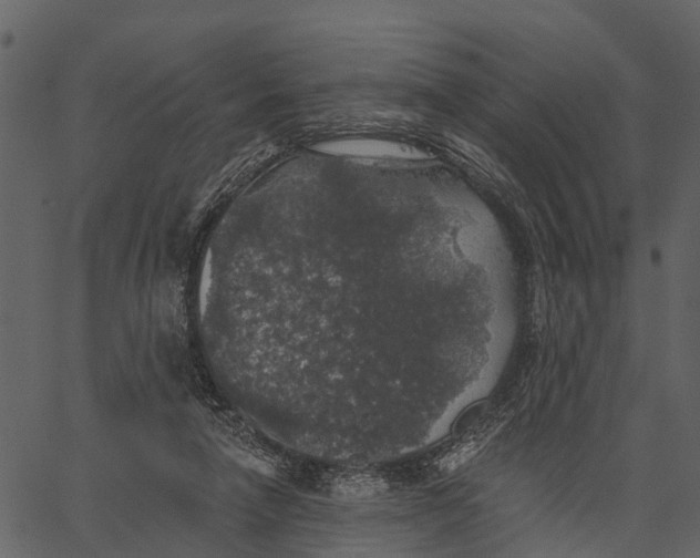 X0000062640258200601111133