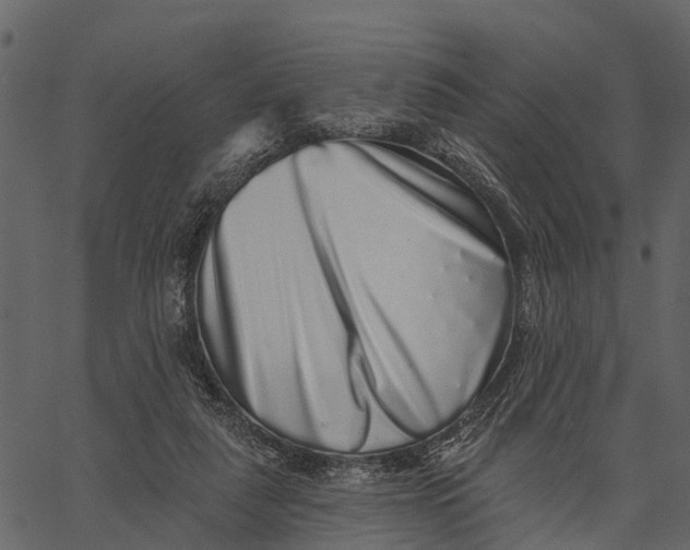 X0000062640259200601111133