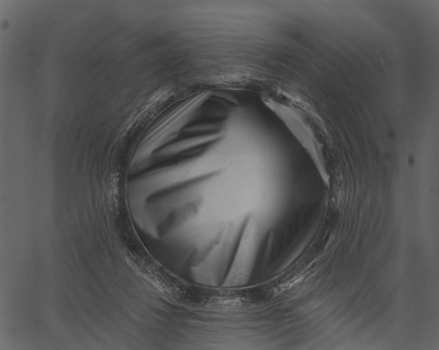 X0000062640260200601111133