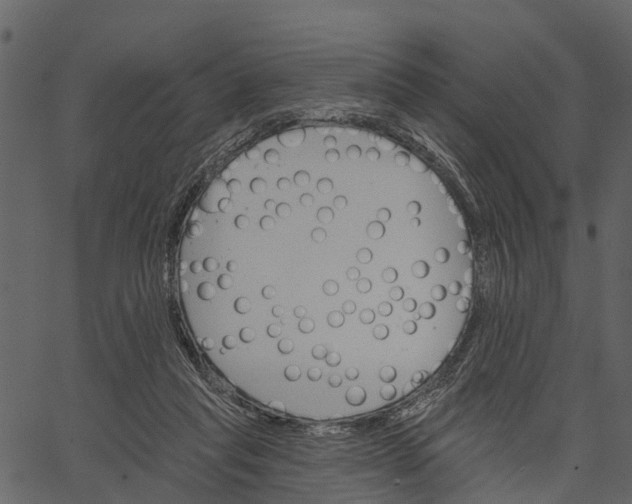 X0000062640261200601111133