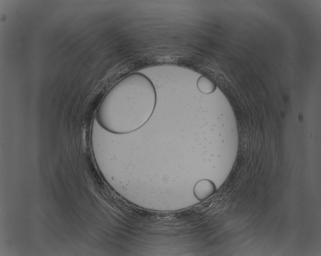 X0000062640262200601111133