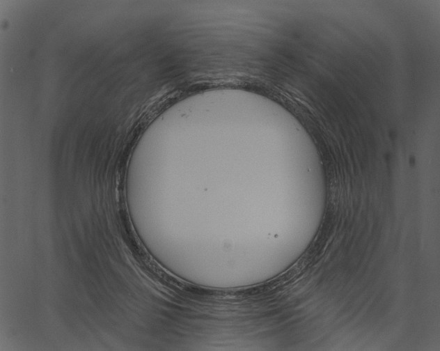 X0000062640264200601111133