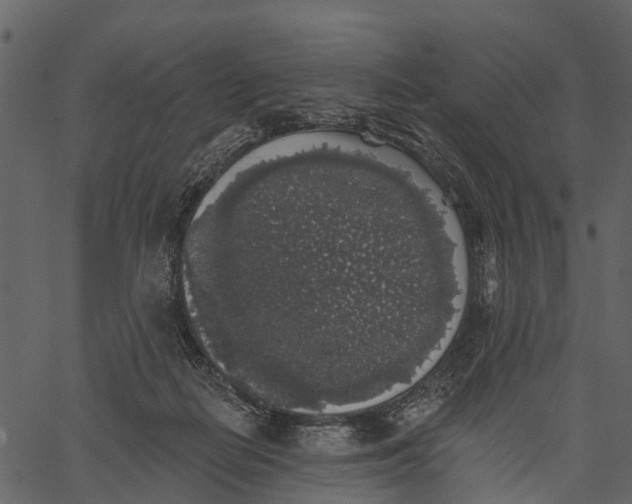 X0000062640266200601111133