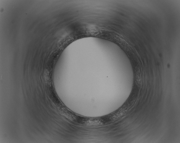 X0000062640270200601111133