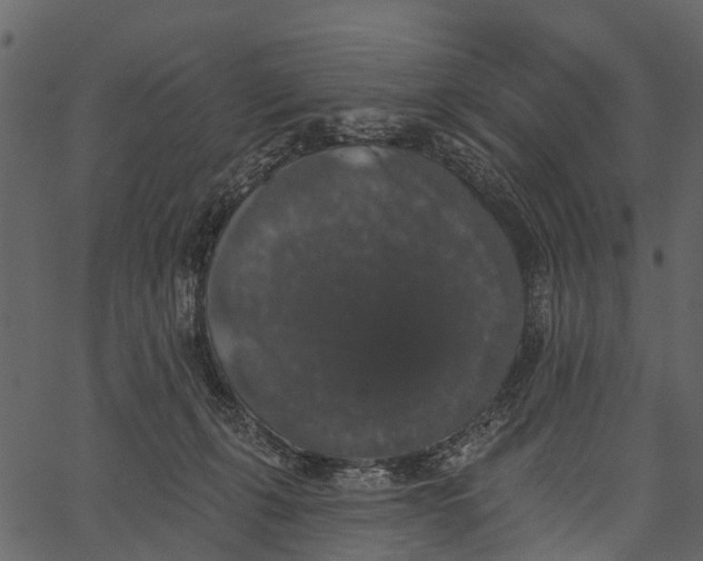 X0000062640271200601111133