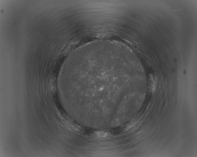 X0000062640272200601111133