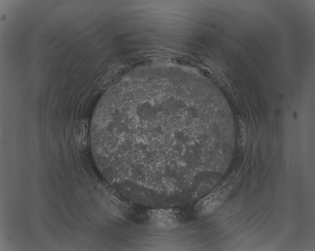 X0000062640273200601111133