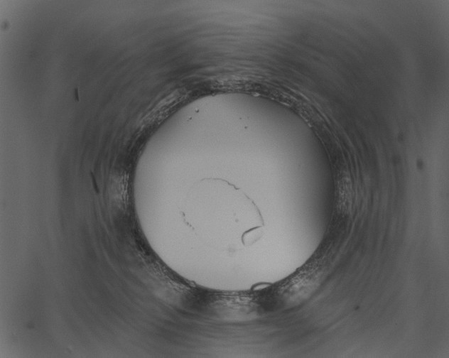 X0000062640278200601111134