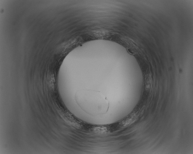 X0000062640279200601111134