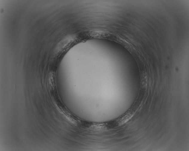 X0000062640280200601111134